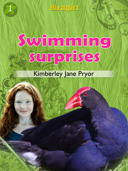 Birds of prey  Kimberley Jane Pryor
